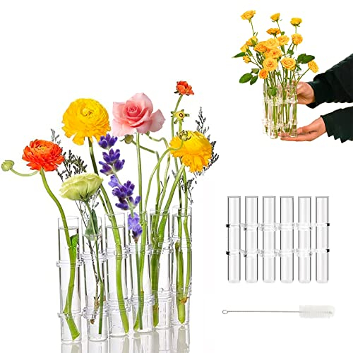 LEEWENYAN Hinged Flower Vase, Vase Creative Test Tube Vases, Glass Test Tube Bud Vase, Clear Test Tube Vases for Flowers, Hinged Vases Plant Display Container for Home Office Decor (6 Tubes) (WH-170)