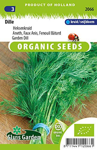 Garden Dill - Graines Biologiques