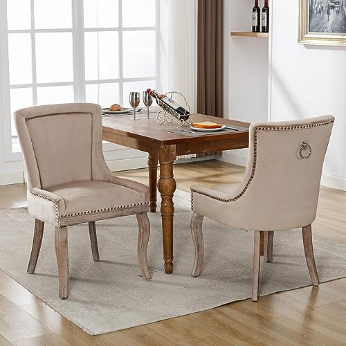 Zravenna Luxuriös Esszimmerstühle 2er Set, Küchenstuhl, Wohnzimmerstuhl, Polsterstuhl mit Nagelkopfbesatz, Beinen aus Massivholz, Bezug aus Samt, (Ohne Esstisch), Beige (Beige, 2er Set)