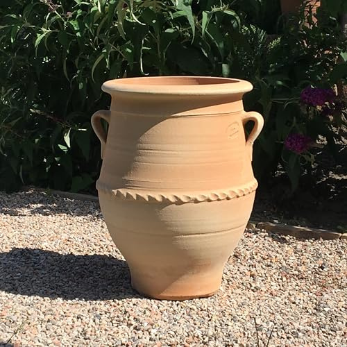 Palatina Liten terrakotta Amfora, 40 cm, handgjord, frostbeständig, trädgårdsterrass, balkong, timjan, 40 cm