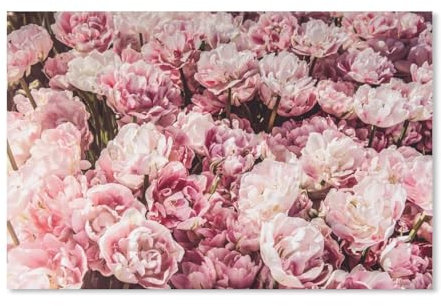 Papier Puzzle Puzzle 1000 Stück，Rosa Pfingstrose，Puzzles Lernspielzeug Für Erwachsene Geburtstagsgeschenk Home Decoration（50x70cm）-C47