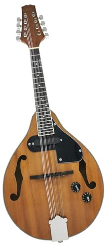 Mandolin Instrument Eight-string Mandolin Instrument Electric Mandolin Ethnic Instrument Tibetan Mandolin(B)