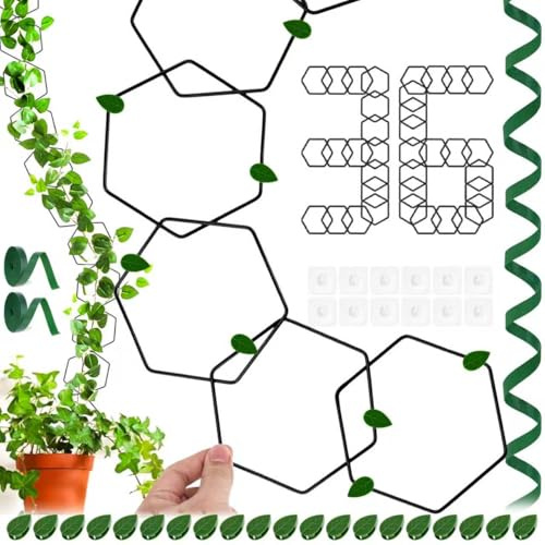 36 PCS Enrejado de Cadena para Plantas Trepadoras, Ayuda para trepar Plantas, Plantas Trepadoras Enrejado para Plantas de Interior, con Bridas 2 M Ganchos de 32 Piezas, para Pothos, Hiedra