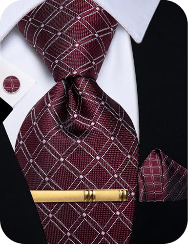 YourTies Cravate en soie pour homme - Motif à carreaux, cachemire et floral - Pochette, boutons de manchette, pince à cravate - Coffret pour mariage, fête, affaires, formel, taille unique