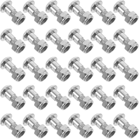 TOYANDONA 30 Vis de Rechange Argenté en Acier Inoxydable pour Sécateur à Main, Conception Filetage Précision, Compatible, pour Jardinage et Ateliers, Lot de 30 Pièces