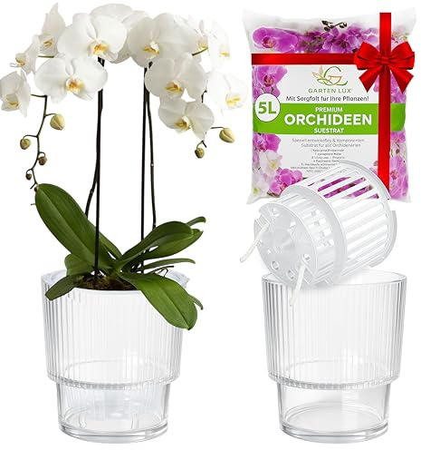Garten lux Lot de 2pots à arrosage Automatique pour orchidées-Transparent, Ø16cm, Pot pour orchidées 2,7L (Pot intérieur 1,9L avec Trous de Drainage et mèche)+5L de substrat pour orchidées