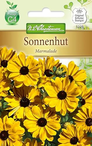 N.L.Chrestensen 5225, Rudbeckia hirta Sonnenhut, Marmalade, Gold