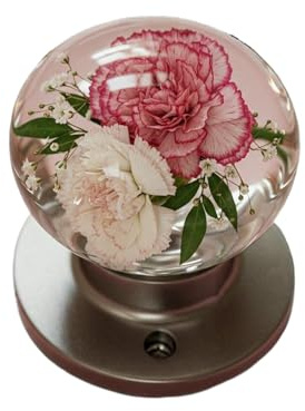 Tyinerc Maniglia per porta | Rotondo in resina moderna | Pomello girevole per interni