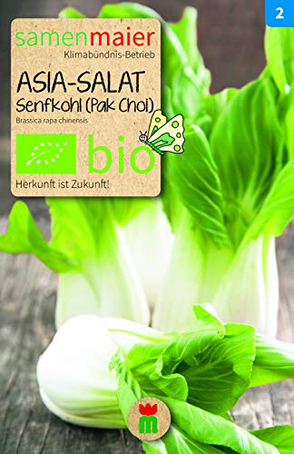 BIO Asia-Salat Senfkohl (Pak Choi) Samen - Hochwertiges BIO Saatgut für ca. 70 Pflanzen - Fettarmer, vitaminreicher Salat - Anbau im Garten, Hochbeet oder Balkon - Samen Maier