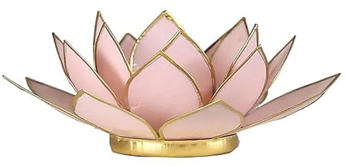 Lotus Licht Rosa Pastell Goldrand - 13.5 cm