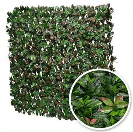 Atout Loisir Treillis Extensible Feuillage photinia, Long 6 m, Hauteur 1 m