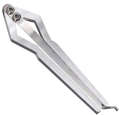 TOYZFRIENDY Maultrommel Metall Mundharmonika 11,5cm Tragbares Ethnisches Musikinstrument für Anfänger und Erwachsene mit Klarem Klang für Reisen und Familienfeiern