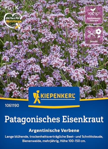 Kiepenkerl Patagonische Eisenkrautsamen Argentinische Verbene 1061190 | Beet- und Schnittstaude, Inhalt für 80 Pflanzen, Höhe 100-150 cm, mehrjährig