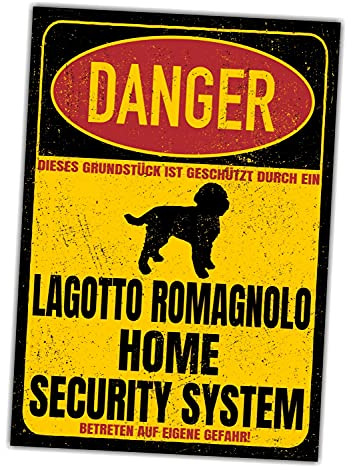 Lagotto Romagnolo Schild Danger Security System Türschild Hundeschild Warnschild Hund Sicherheitsschild Hund Privatgrundstück Hundewarnung Warnung vor dem Hund