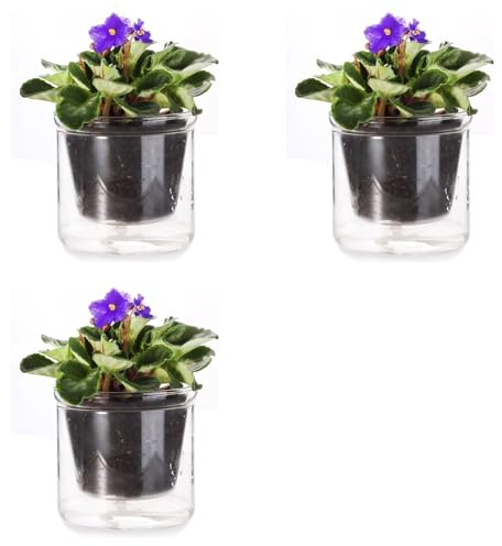 HWIREUIGT 3X Vaso Autoirrigante da 4 Pollici, Vaso per Violette Africane, Fioriera in Vetro con dal Basso per Piante da Interno e Propagazione