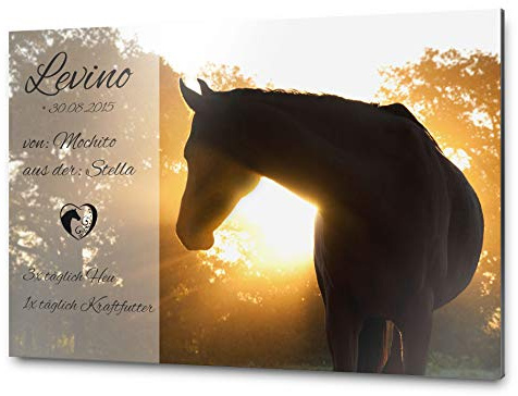Pferdeschild Boxenschild mit Foto und Wunschtext | AluDidond Alu Verbundplatte | 30x20 cm | sofort personalisierbar | inkl. Brandzeichen & Motiven