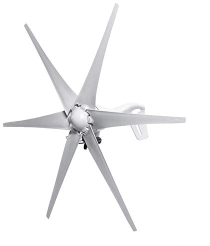 WANWEN Turbina eolica Domestica a 6 Pale da 2500 W, Carica della Batteria di Alimentazione del generatore CC 12 V/24 V con Controller Energia Gratuita per lampioni Domestici Little Surprise