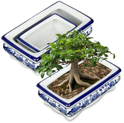 Hollyone 2er-Set Bonsai Topf Keramik Sukkulententöpfe mit Drainageloch Rechteckig Bonsaischale Pflanztopf für Zimmerpflanzen, Dekorativ Blau und Weiß Blumentopf für Garten Drinnen Draußen Pflanze