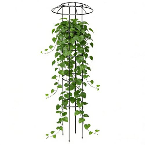 Treillis de parasol de jardin, support vertical antirouille stable pour plantes grimpantes d'extérieur | pour vigne, rose, légumes, dragon, fruits, concombre, hortensias, jasmin, pothos