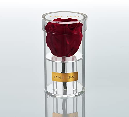EG EMMIE GRAY Crystal Infinity | Acryl | – Traumhafte Infinity Rose, 1-3 Jahre haltbare Rose, Acrylgefäß mit echter, konservierter Rose, edle Premiumrose (Burgundy)