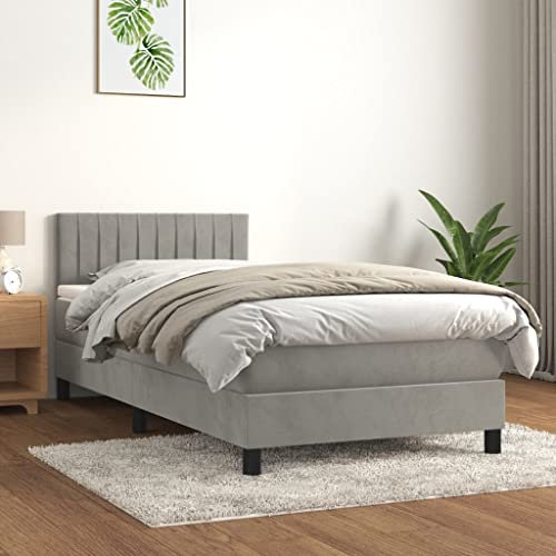 Gecheer Boxspringbett mit Matratze Bettgestell Bettrahmen Designerbett Gästebett Jugendbett Hellgrau 100x200 cm Samt-Q29