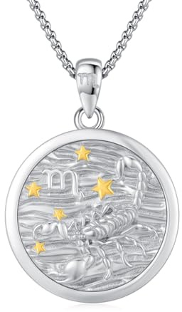 REDSUN Skorpion Halskette 925 Sterling Silber Sternzeichen Kette Sternzeichen-Anhänger-Halsketten für Frauen Horoskop-Schmuck Geburtstagsgeschenk für Sie, Frauen, Teenager, Mädchen（Silber）