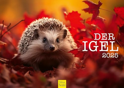 Edition Seidel Premium Kalender Der Igel 2025 Format DIN A3 Wandkalender Tierkalender Tier Wald heimische Wildtiere Waldtiere