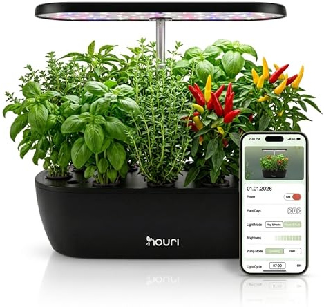 Nouri Hydroponisches Anzuchtsystem, 12 Hülsen Smart Indoor Kräutergarten Set mit App & LED-Wachstumslicht, Hydroponischer Kräutergarten für Zuhause & Küche, Italienische Kräuter-Mischung inklusive