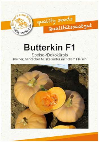 Butterkin F1 Kürbissamen von Bobby-Seeds Portion