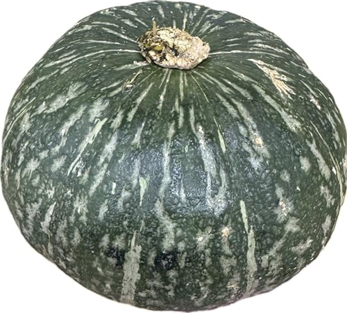 Fresh Whole Kabocha Squash – 4 lbs Approx, Japanese Pumpkin for Soups, Roasting, Tempura and More