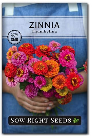 Sow Right Seeds - Thumbelina Zinnia Seeds for Planting - Beautiful to Plant in Your Flower Garden - Non-GMO Heirloom Packet with Instructions - Annual Cut and Come Again for Bouquets (1)