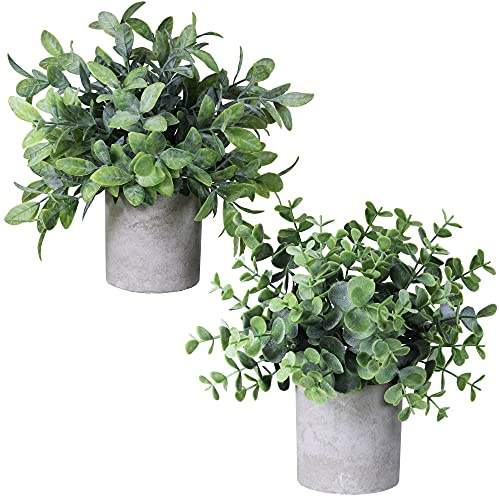 Winlyn Set of 2 Faux Mini Potted Plants Artificial Eucalyptus Boxwood Plants in Pots Fake Greenery Arrangement for Rustic Farmhouse Indoor Table Centerpiece Mantel Shelf Kitchen Office Desk Decor