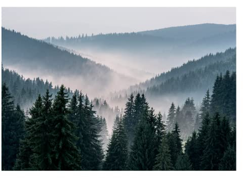 WallArena - Vlies Fototapete Berge Wald im Nebel Landschaft Natur Bäume 312x219 cm - Fototapeten - Tapeten - für Wohnzimmer Schlafzimmer - Vliestapete Wandtapete Tapete 3D Effekt- inkl. Kleister