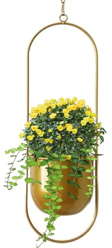 Pentola floreale del soffitto, pentola vegetale per soffitto Pentole per