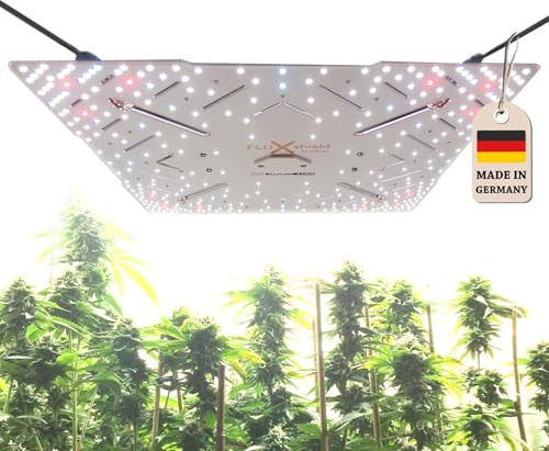 Bloomstar by Crescience FLUXshield Babo 450C cSpec Chroma Plus 160W Pflanzenlampe Vollspektrum dimmbare Grow Light für Indoor Anbau mit Samsung LM301 LED Meanwell driver Netherlands Amsterdam Houses