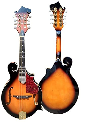 TSTS Beginner Mandolin Handmade Veneer F-face Single-carved Mandolin Eight-string W/Bao Xueqin Full Set