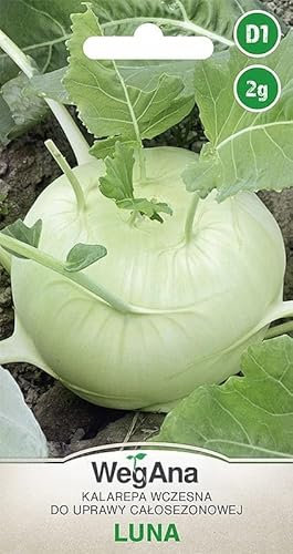 Semi di cavolo rapa WegAna Luna 2g Semi, Semi di ortaggi robusti, Semi di ortaggi, Semi da coltivazione