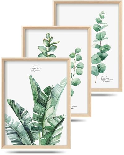 HesenDot A3 Grüne Eukalyptusblatt Blatt Bilder Mit Rahmen,30x40cm | Holzrahmen-Design, 3er-Set Kunstdrucke Pflanzen Druckposter Deko für Wohnzimmer Schlafzimmer Bad Flur Büro