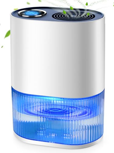 Dehumidifier for Home Damp 2.2L, Electric Small Dehumidifier with H11 Filter, T&H Display/Colored Light/Energy Efficient, Target Setting/Sleep Mode/Timer/Auto-Defrost, for Bedroom Closet