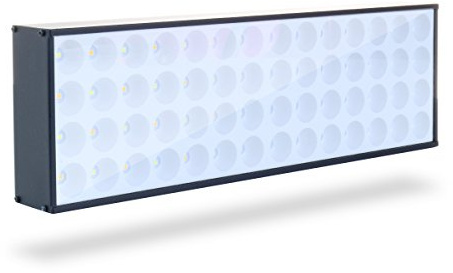 Fitwish TerraLED Lampe LED 25W pour Terrarium Tropical - TM 30cm Lampe horticole pour Plantes superficie 45cm x 45cm