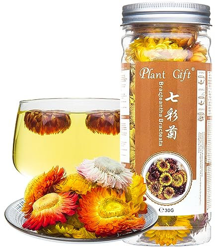 Plant Gift Bracteantha bracteata flower Colorful chrysanthemum tea Liver eyesight skin care beauty anti fatigue 30g/1.05oz