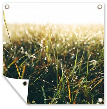 MuchoWow Poster exterieur Champ d'herbe - herbe de la pampa Decoration murale 50x50 cm Résistant aux intempéries/soleil