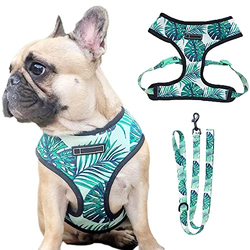 HDKUW Hundegeschirr und Leine Set, Verstellbare Hundeweste Geschirr Set, Outdoor Walking Weste Geschirr für Französische Bulldogge und Welpe Kleine Mittlere Große Hund L