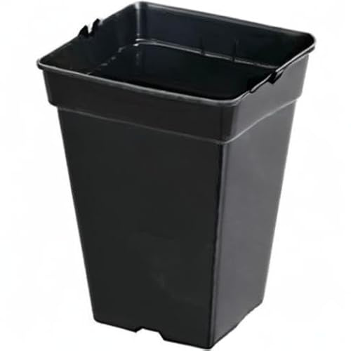 GROWMANIA Pack 5 Macetas Cuadradas para Plantas Negra 5,5L - Cinco Macetero Plástico para Flores 18x18x25 cm