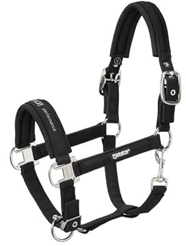 Halfter DOUBLE PIN BUCKLE SOFTSHELL CORE