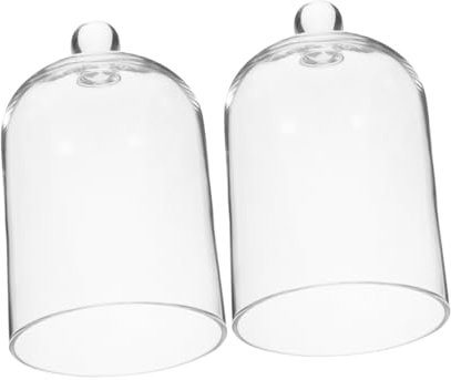 Holibanna 2pcs Transparent Glass Dome for Displaying Preserved Flowers Lipsticks Elegant Glass Cloche Cover for Aesthetic Home Decor Craft Projects and Versatile Uses