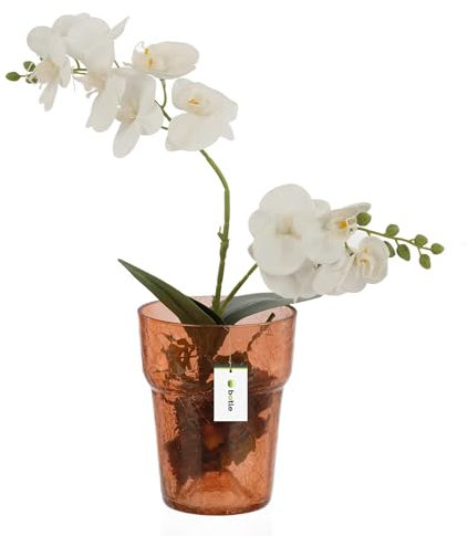 Macetero de cristal para orquídeas, diámetro de 15,5 cm, altura de 18 cm, color naranja, estructura de tejido de araña y araña, con regulación de la habitación, jarrón moderno para flores cortadas