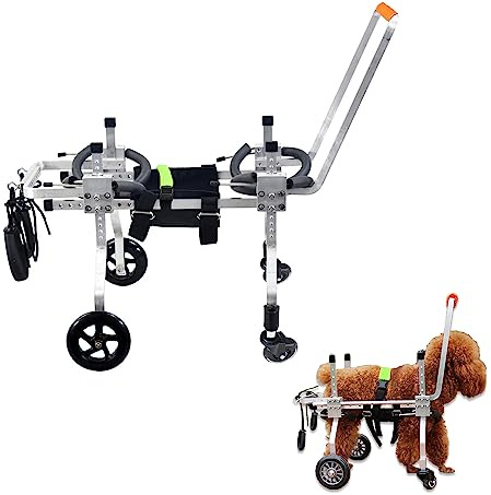Hunde-Rollstuhl, verstellbarer 4-Rad-Haustier-Rollstuhl mit Griff für kleine und mittelgroße Katzen/Hunde, Hunderollstuhlwagen für Vorderbein-Arthritis, schwache Gliedmaßen (M)
