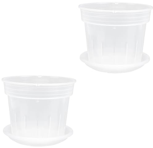 Toddmomy 2 Juegos Maceta de Transparente con Plato de Maceta de Nutrientes para Plantas para Interior y Exterior Drenaje y Diseño