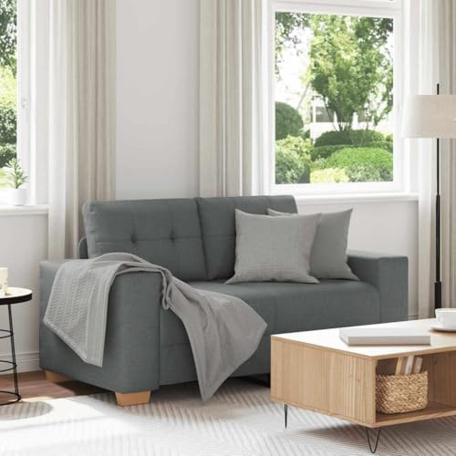 CKioict Zweisitzer Sofa Dunkelgrau 120 cm Stoff Relaxsofa mit gepolsterten Sitzen und atmungsaktivem Polyestergewebe für Wohnzimmer und Büro